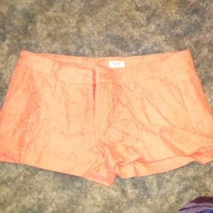 Mossimo size 11 burnt orange shorts